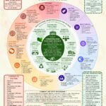 Une infographie pour penser le changement de paradigme — Écologie Sociale Communaliste : des institutions imposées à l’auto-institution de la société